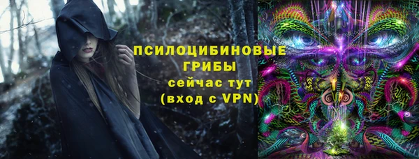 a pvp Алзамай