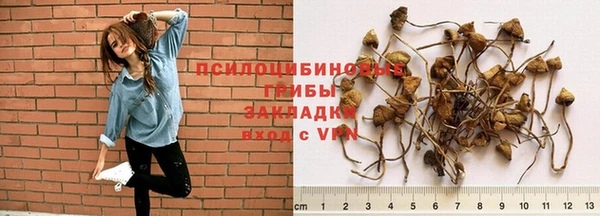 a pvp Алзамай
