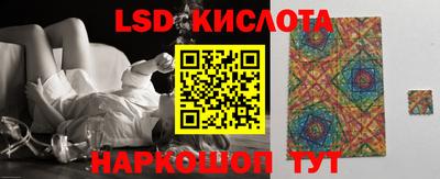 сатива Кингисепп