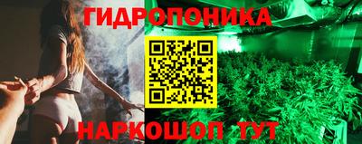 мяу мяу мука Кинель