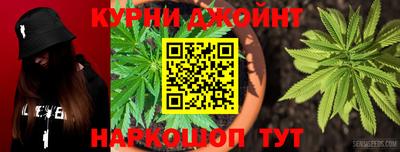 сатива Кингисепп