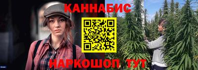 сатива Кингисепп