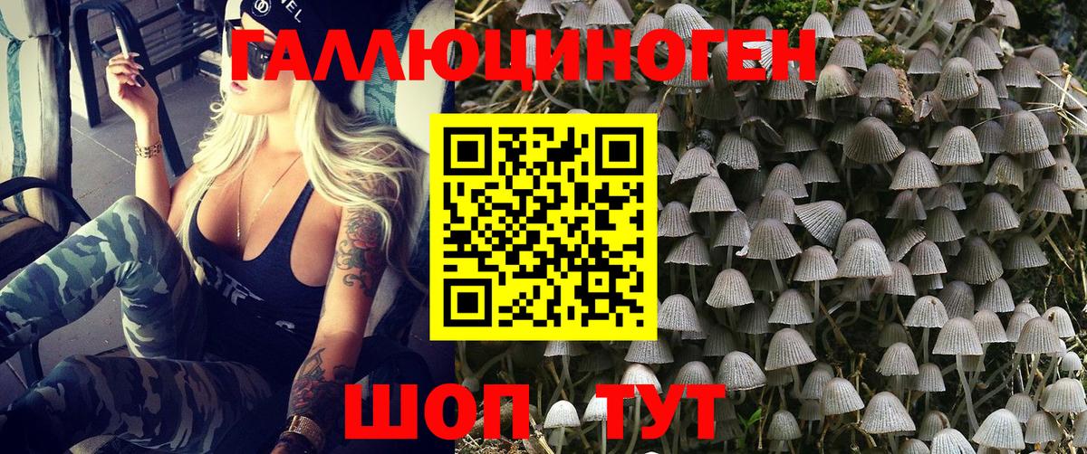 Лабинск  Псилоцибиновые грибы Psilocybe  Вход с VPN 